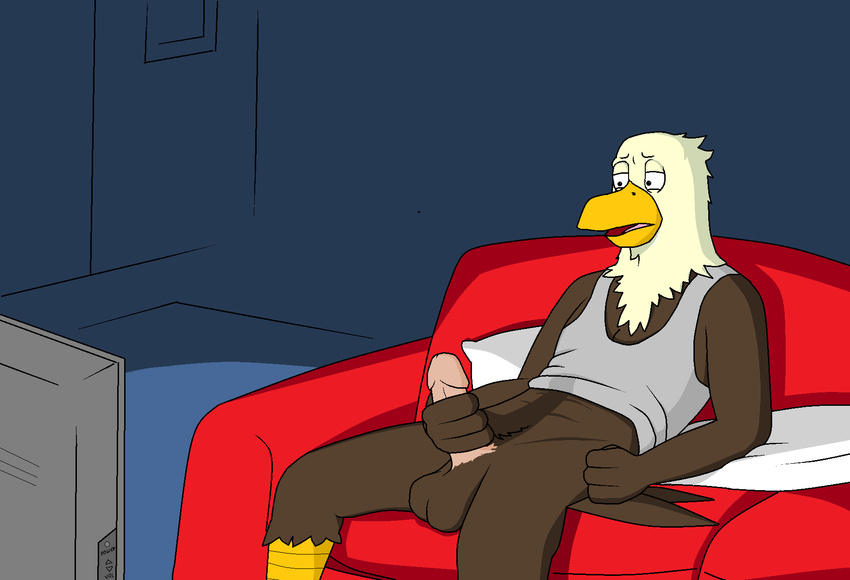 anthro avian axl bald_eagle balls bird eagle feathers humanoid_penis male masturbation ms_paint night nude paintfox penis pillow pornography reclining sitting sofa solo television the_crappy_paint_job
