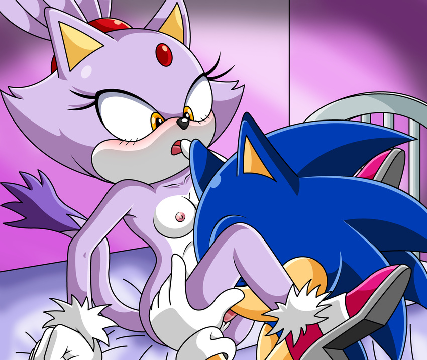 anthro blaze_the_cat blush breasts cunnilingus duo feline female hedgehog licking licking_pussy male mammal nipples nude open_mouth oral oral_sex pussy sega sex sitting sonic_(series) sonic_the_hedgehog sonictopfan straight tongue tongue_out vaginal