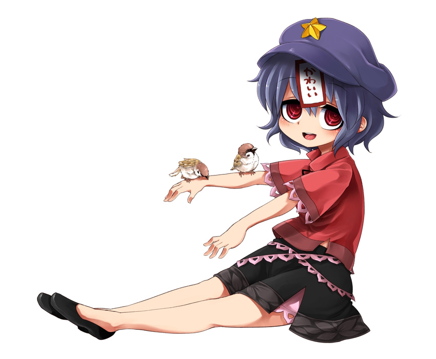 animal_on_arm beret bird bird_on_arm blue_hair eurasian_tree_sparrow harusame_(unmei_no_ikasumi) hat highres jiangshi miyako_yoshika ofuda open_mouth outstretched_arms red_eyes shirt short_hair simple_background sitting skirt smile solo sparrow touhou white_background zombie_pose