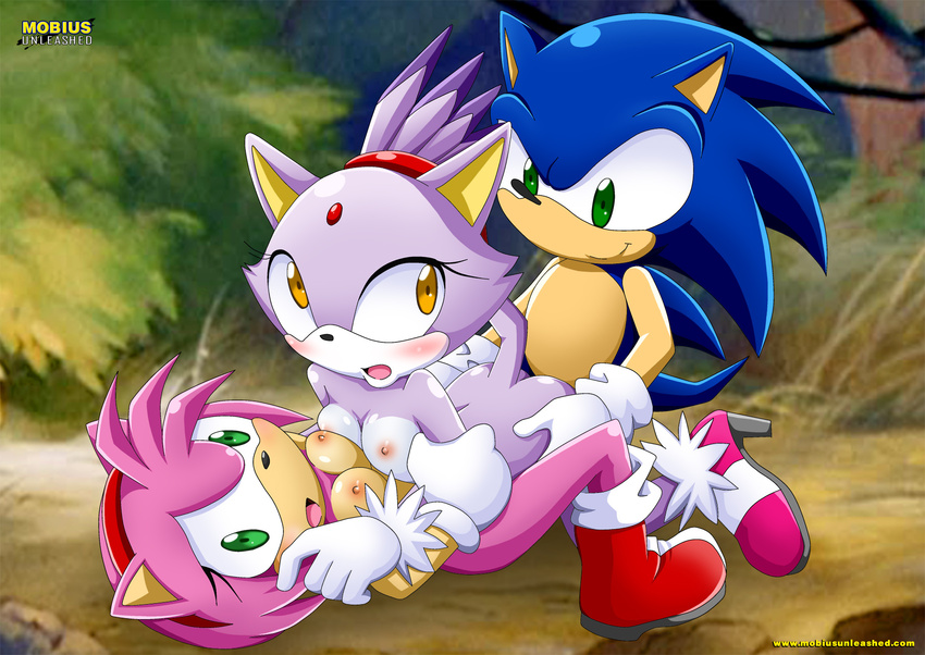 amy_rose bbmbbf bisexual blaze_the_cat blush breasts feline female from_behind group group_sex hedgehog looking_at_viewer lying male mammal nipples nude on_back sega sex sonic_(series) sonic_the_hedgehog threesome
