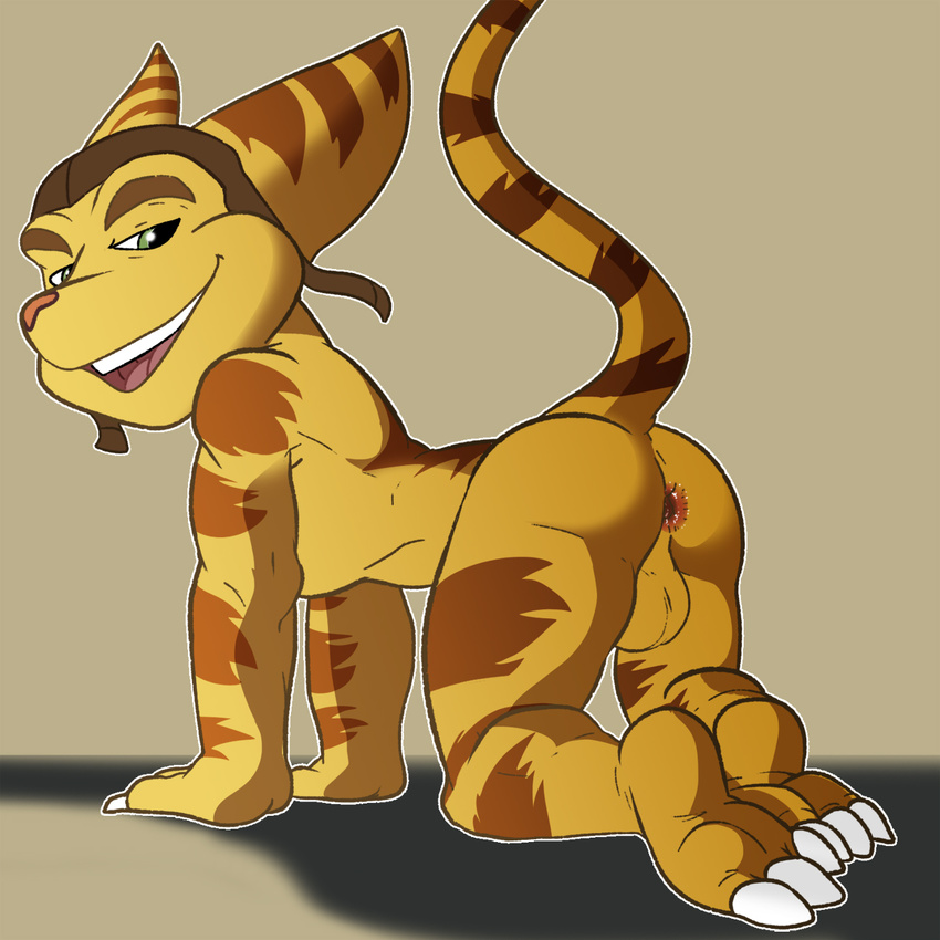 anus balls butt green_eyes hat hindpaw jerseydevil jerseydevil_(artist) lombax looking_at_viewer male paws presenting ratchet ratchet_and_clank simple_background solo stripes video_games