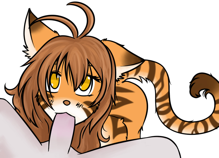 anthro brown_hair cat duo erection faceless_male feline fellatio female first_person_view flora_(twokinds) hair male mammal nude oral oral_sex penis sex sleepymomo straight stripes twokinds yellow_eyes