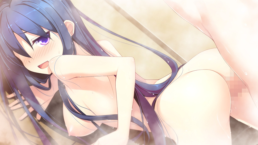 1girl areolae ass back bath bathroom blue_hair blush breasts censored game_cg highres kimi_to_boku_to_no_kishi_no_hibi:_rakuen_no_chevalier large_breasts legs long_hair looking_back nipples nude open_mouth penis piriri purple_eyes sex smile standing steam thighs vaginal wet