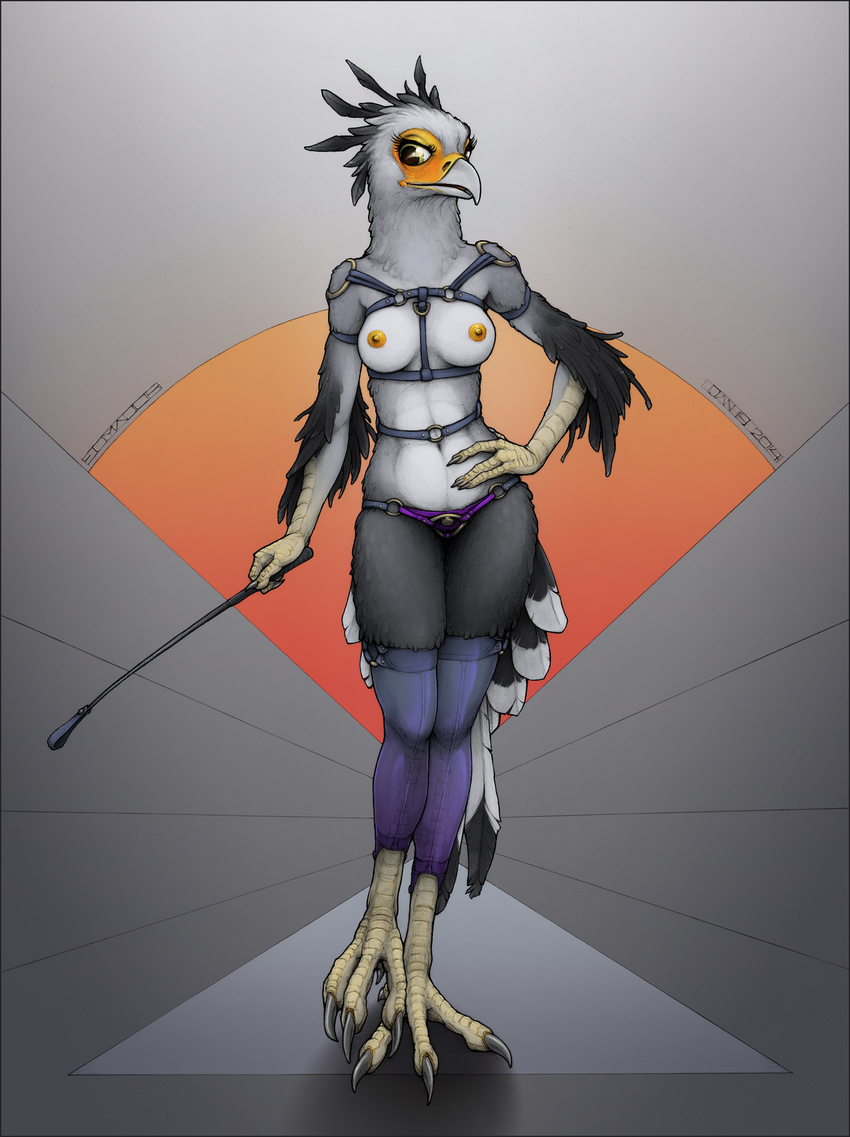 avian beak bird breasts clothed clothing digitigrade dominatrix ecmajor feathers female hand_on_hip harness legwear looking_at_viewer riding_crop secretary_bird skimpy solo standing thigh_highs