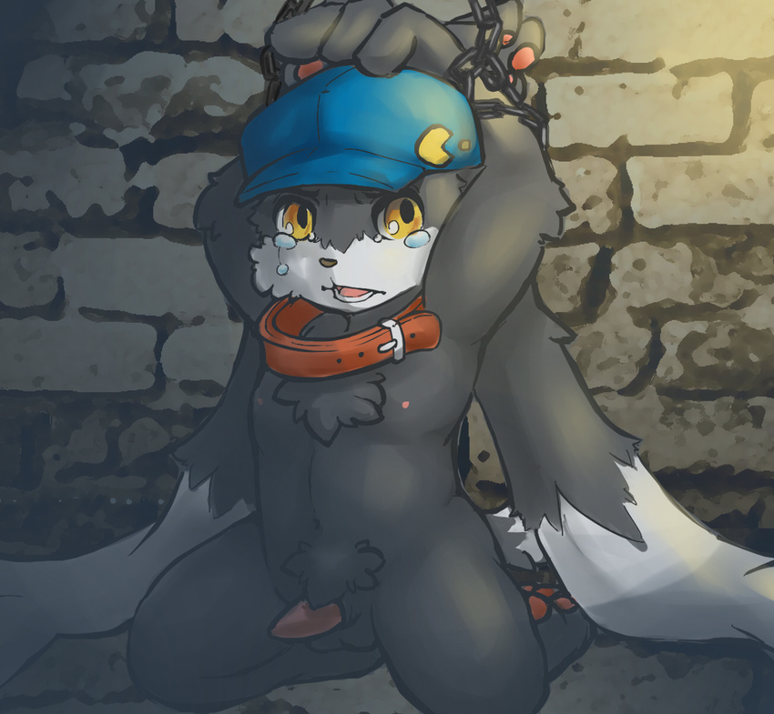 bdsm bondage bound cerb0980 chain chest_tuft collar dark_fur fur hat kemono long_ears male navel nipples open_mouth pawpads penis pixiv solo tapering_penis tears teeth tuft wall