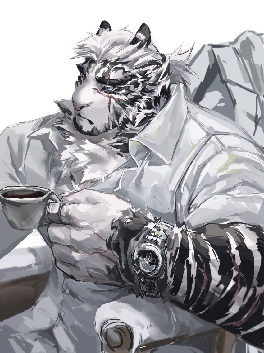 1boy animal_ears arknights ashu_monster bara blue_eyes claws cup drink furry furry_male hashtag_only_commentary highres holding holding_cup holding_drink looking_to_the_side male_focus mountain_(arknights) mountain_(book_reader)_(arknights) multiple_scars on_chair ponytail scar scar_across_eye scar_on_arm scar_on_face sitting tiger_boy tiger_ears watch white_background wristwatch