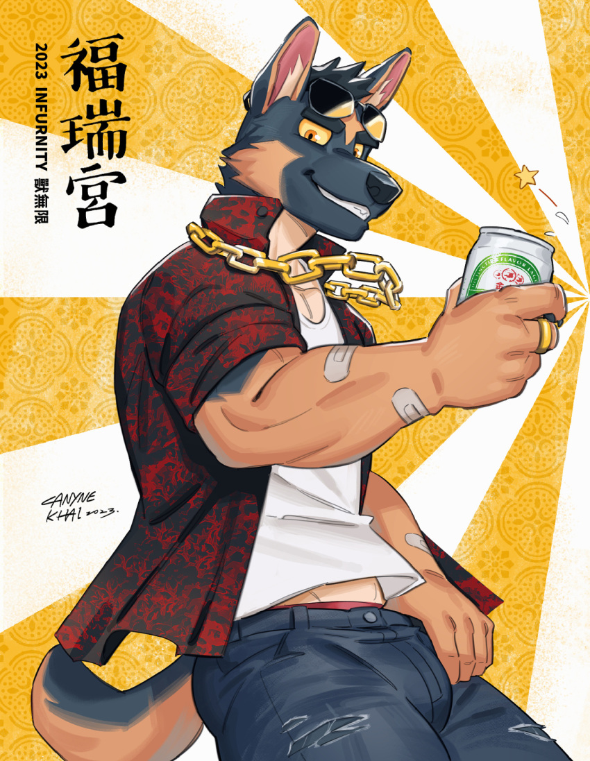 5_fingers anthro bandage beverage_can biped bottomwear canid canine canis canyne_khai chain chinese_text clothed clothing domestic_dog eyebrows fingers gold_(metal) gold_chain hi_res holding_object inner_ear_fluff kemono male mammal pants ring_(jewelry) smile solo tail text torn_bottomwear torn_clothing torn_pants tuft