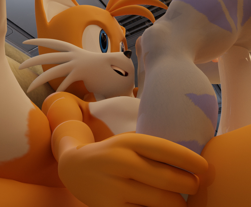 anthro big_penis canid canine dominant dominant_male duo female fox genitals larger_male leg_grab lombax male male/female mammal miles_prower nude penis ratchet_and_clank reducktoe rivet_(ratchet_and_clank) sega size_difference size_play smaller_female smile sonic_the_hedgehog_(series) sony_corporation sony_interactive_entertainment warfare_rivet