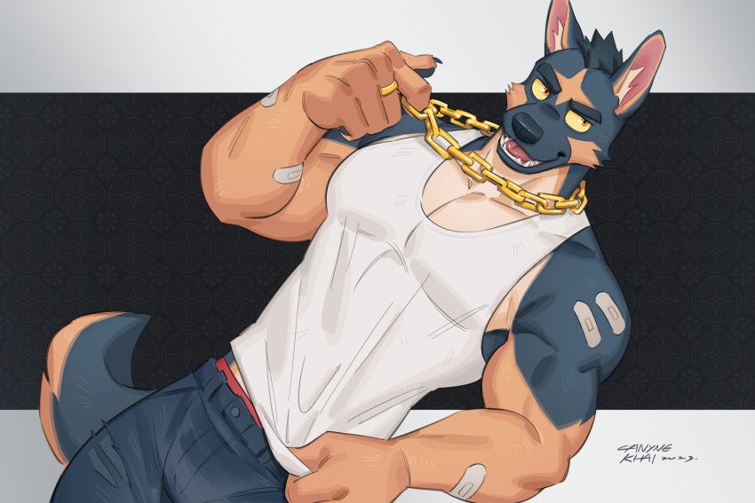 3:2 5_fingers anthro bandage canid canine canis canyne_khai chain clothed clothing domestic_dog eyebrows fingers gold_(metal) gold_chain hi_res inner_ear_fluff kemono male mammal muscular muscular_anthro muscular_male open_mouth open_smile ring_(jewelry) smile solo tuft