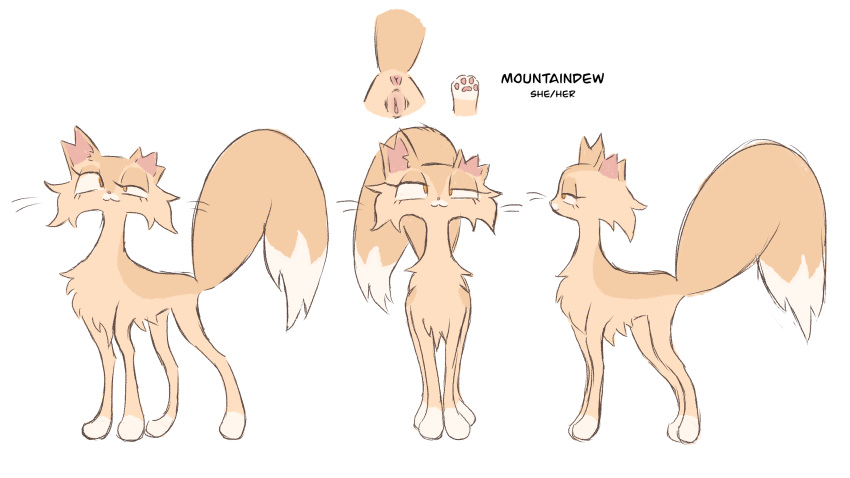 anus domestic_cat fan_character felid feline felis female feral fur genitals hi_res labbit1337 mammal model_sheet mountaindew_(labbit1337) orange_body orange_fur pussy simple_background smile solo tail tan_body tan_fur warriors_(cats) white_background