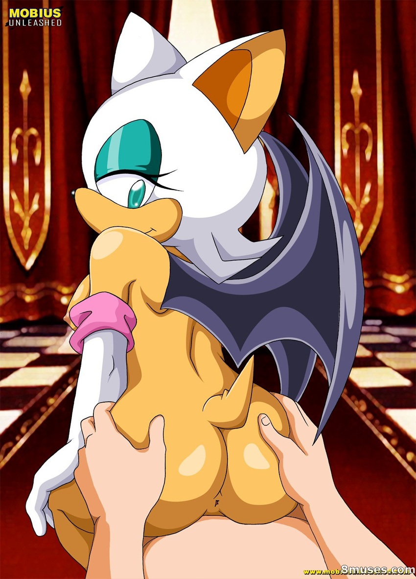 bbmbbf butt faceless_male female first_person_view gloves interspecies looking_at_viewer looking_back male mammal mobius_unleashed nude on_top penetration penis pussy reverse_cowgirl_position rouge_the_bat sega sex sonic_(series) straight