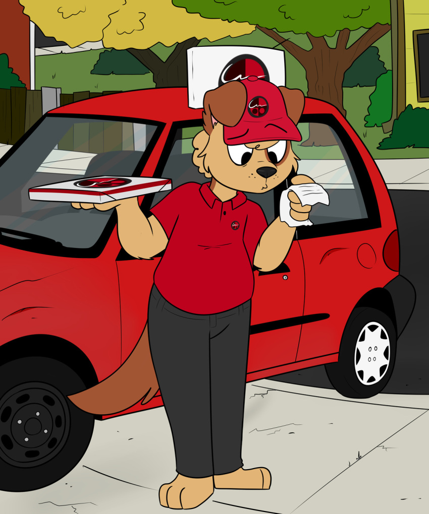 2018 3_toes 4_fingers anthro arm_tuft barefoot biped black_eyebrows black_eyes black_nose bottomwear brown_ears brown_markings brown_tail canid canine canis chokovit_(artist) clothed clothed_anthro clothed_male clothing colored countershading curled_hair delivery_(commerce) delivery_employee detailed_background digital_drawing_(artwork) digital_media_(artwork) dog_ears dog_tail domestic_dog driveway elbow_tuft eyebrow_through_hat eyebrows feet fence fingers floppy_ears food food_delivery front_view full-length_portrait fur grass grey_bottomwear grey_clothing grey_pants hair hat headgear headwear hi_res holding_object holding_paper holding_pizza_box logo logo_on_hat long_tail male male_anthro mammal markings outside pants paper pizza pizza_box pizza_delivery plant portrait raised_eyebrow reading receipt red_baseball_cap red_car red_clothing red_hat red_headwear red_shirt red_topwear red_vehicle road shirt shrub sidewalk solo standing stevie_(chokovit) suburbs tail tan_body tan_countershading tan_fur tan_tuft tire toes topwear tree tuft vehicle wood wood_fence
