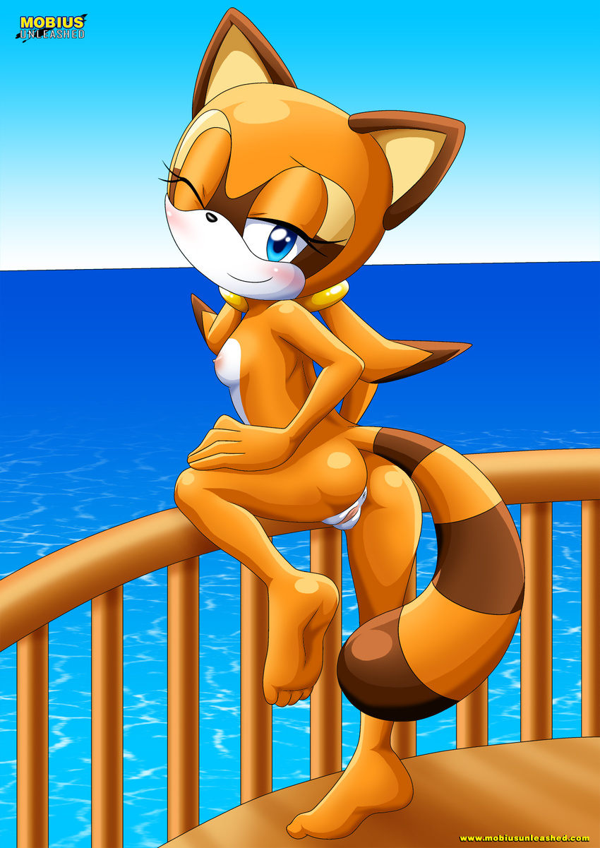 anthro anus bbmbbf blush breasts butt female hindpaw looking_at_viewer looking_back mammal marine_the_raccoon mobius_unleashed nipples nude one_eye_closed outside paws plantigrade pose pussy raccoon sea soles solo standing toes water wink young