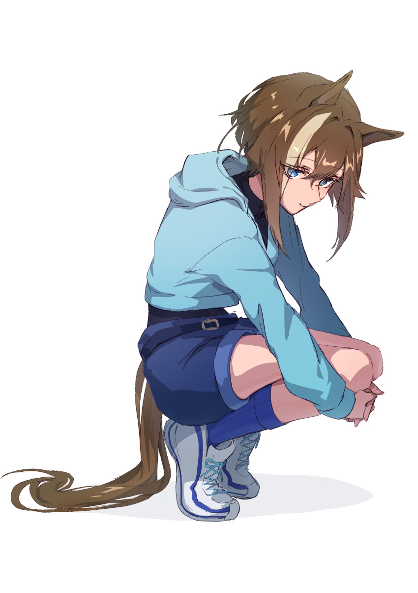 1girl absurdres alternate_costume animal_ears belt black_undershirt blue_eyes blue_shorts blue_socks blue_sweater brown_hair cheval_grand_(umamusume) from_side highres hood hooded_sweater horse_ears horse_girl looking_at_viewer looking_to_the_side multicolored_hair shoes shorts simple_background sneakers socks squatting streaked_hair sweater umamusume watou white_background white_footwear