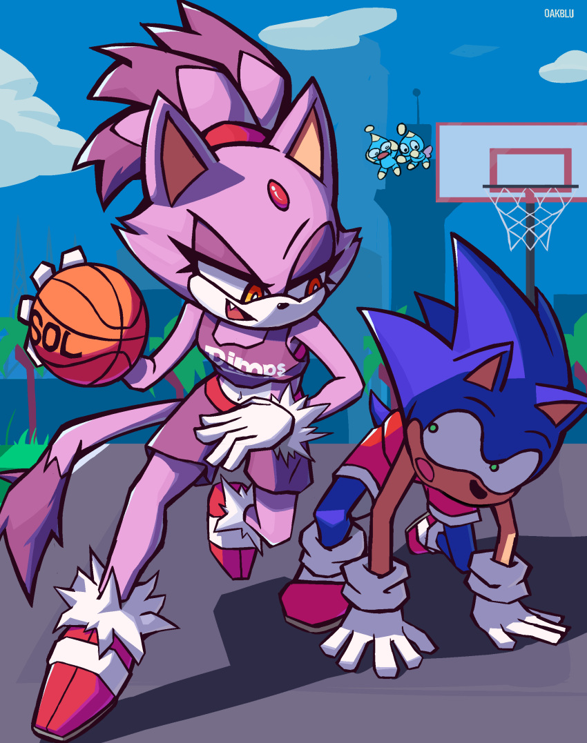 1boy 1girl absurdres animal_ears ball basketball basketball_(object) basketball_uniform blaze_the_cat blue_fur blue_sky cat_ears cat_girl cat_tail chao_(sonic) cloud fang forehead_jewel fur-trimmed_gloves fur_trim furry furry_female furry_male gloves green_eyes highres oakblu open_mouth red_footwear sky sonic_(series) sonic_the_hedgehog sportswear tail white_gloves yellow_eyes