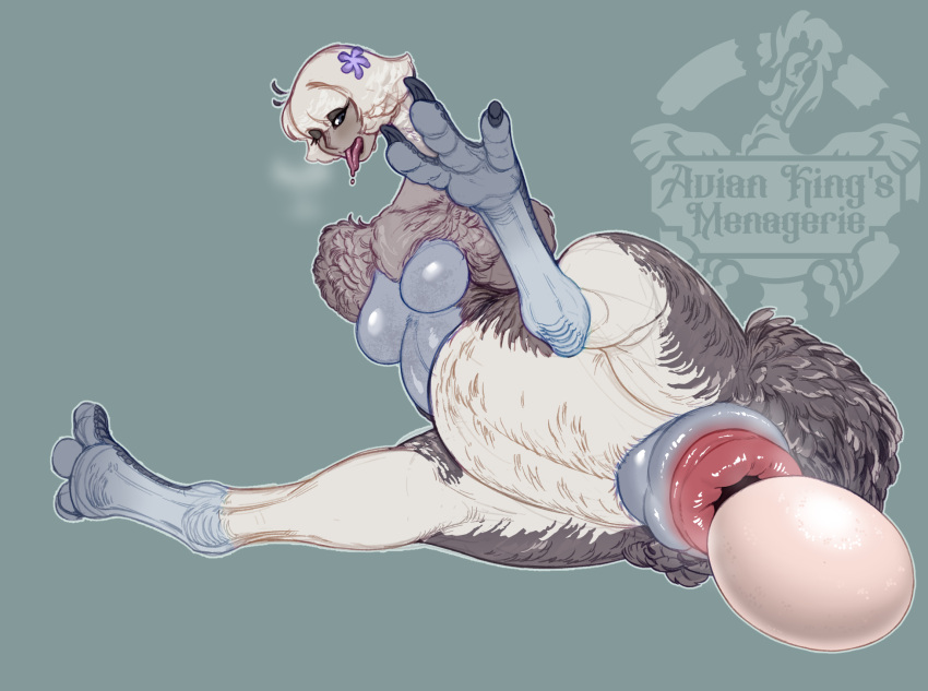 3_toes animal_genitalia avian avian-king avian_butt avian_taur biped bird bird_taur breasts claws cloaca countershade_feathers countershade_torso countershading egg feathers feet female genitals hi_res moa_taur oviposition ratite ratite_taur solo taur toes