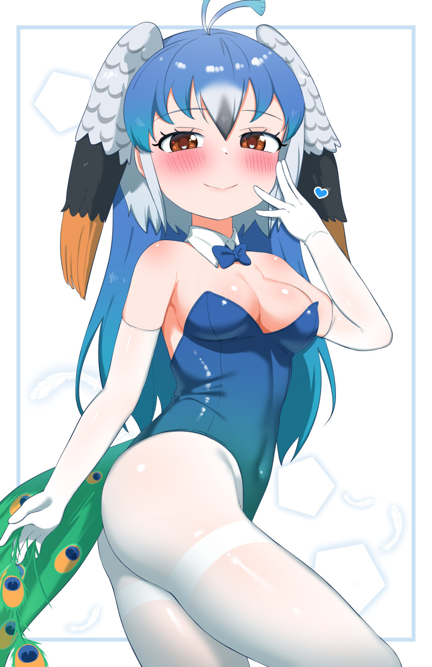 1girl absurdres bare_shoulders bird_girl bird_tail bird_wings blue_bow blue_bowtie blue_hair blue_leotard blush bow bowtie chis_(js60216) cowboy_shot detached_collar elbow_gloves extra_ears gloves grey_hair hair_between_eyes head_wings heart heart_in_eye highres impossible_clothes impossible_leotard kemono_friends leotard long_hair looking_at_viewer multicolored_hair navel orange_eyes orange_hair pantyhose peacock_feathers peafowl_(kemono_friends) playboy_bunny sidelocks sleeveless smile solo strapless strapless_leotard symbol_in_eye tail white_gloves white_hair white_pantyhose wings