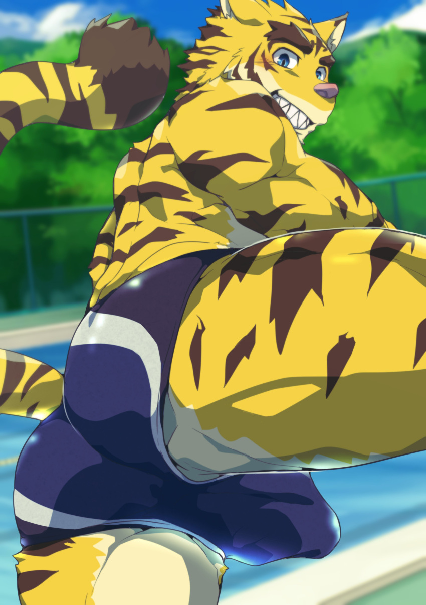 2023 absurd_res anthro blue_clothing blue_eyes blue_speedo blue_swimwear blush brown_body brown_fur brown_stripes bulge butt clothed clothing countershade_face countershade_legs countershade_torso countershading detailed_bulge dipstick_tail fangs felid fur head_tuft hi_res looking_at_viewer male mammal markings morenatsu multicolored_body multicolored_fur muscular muscular_anthro muscular_male open_mouth open_smile outside pantherine pink_nose pool presenting presenting_hindquarters sharp_teeth sky smile solo speedo speedo_only striped_body striped_fur stripes swimwear swimwear_only tail tail_markings tan_body tan_countershading tan_fur teeth tiger topless torahiko_(morenatsu) tuft yellow_body yellow_fur yo_na_ga