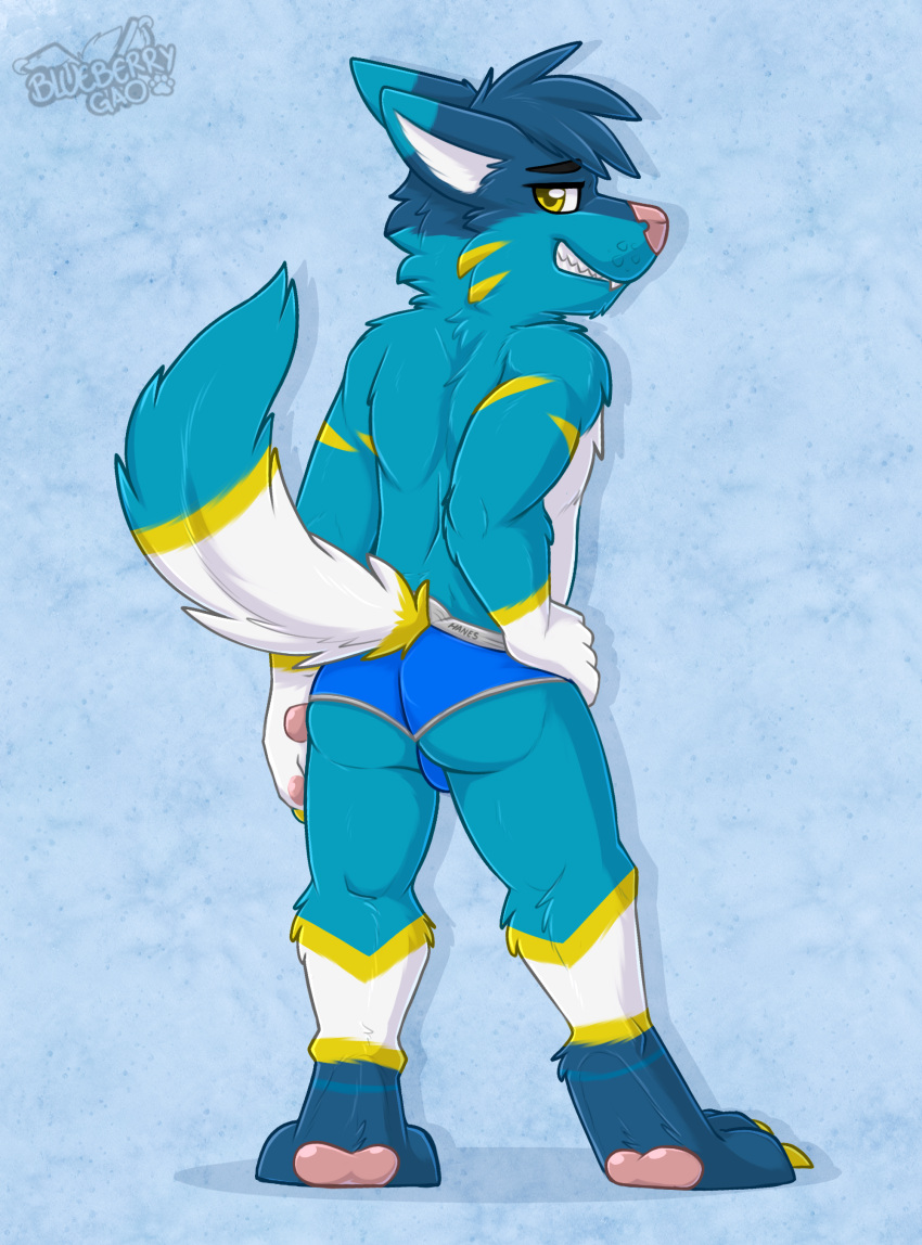 absurd_res anthro biped blue_body blue_clothing blue_ears blue_fur blue_hair blue_tail blue_underwear boxer_briefs butt canid canine canis claws clothed clothing colored_seam_underwear ferdinand_the_folf fox fur furgonomics gaokun grey_seam_underwear hair hand_on_hip hi_res looking_at_viewer looking_back looking_back_at_viewer male mammal monotone_hair multi_tone_fur multi_tone_tail multicolored_ears pawpads paws pink_nose pink_pawpads rear_view solo tail toe_claws two_tone_ears underwear underwear_only watermark white_body white_fur white_tail wolf yellow_body yellow_claws yellow_eyes yellow_fur yellow_tail