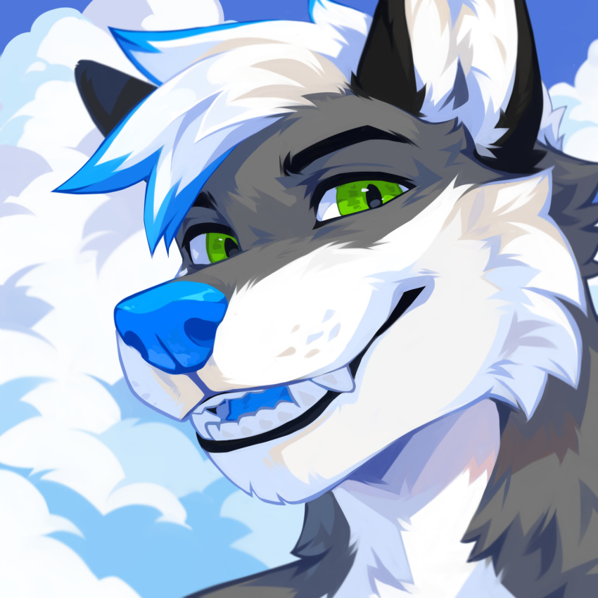 1:1 anthro blue_hair blue_nose blue_sky blue_tongue bust_portrait canid cloud corzh77 fangs fur glistening glistening_eyes green_eyes grey_body grey_fur hair hi_res inner_ear_fluff looking_at_viewer male mammal multicolored_hair open_mouth outside portrait sky solo teeth tongue tuft two_tone_hair white_body white_fur white_hair white_inner_ear_fluff