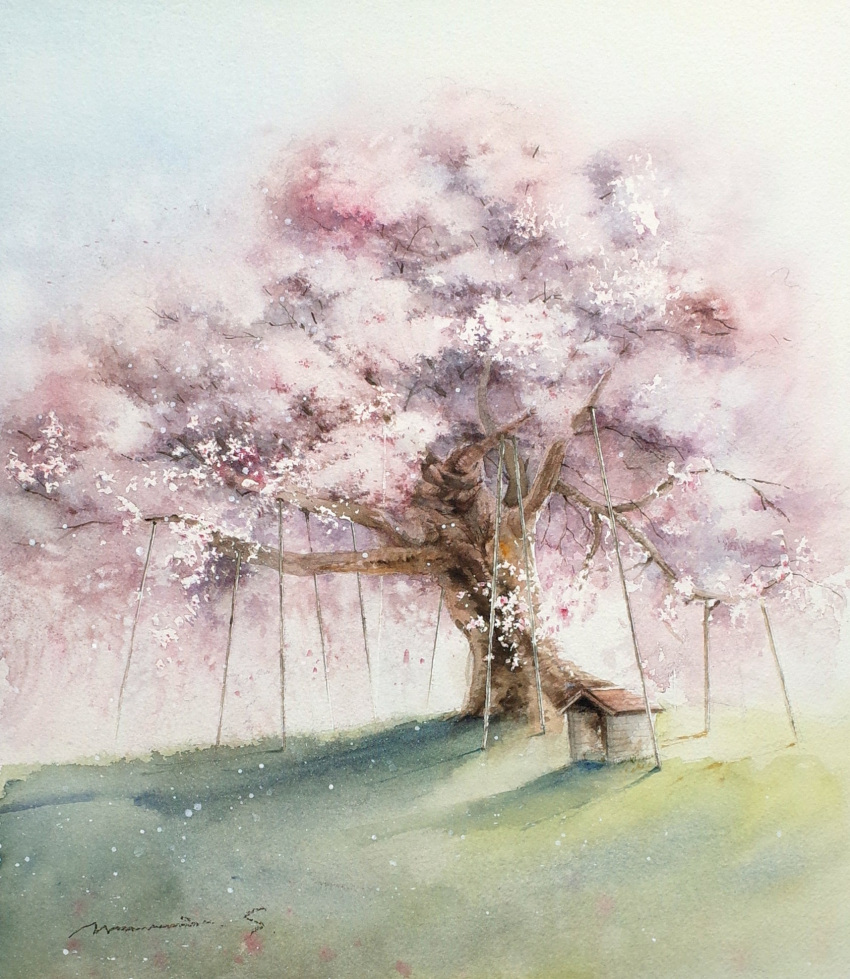 cherry_blossoms dappled_sunlight doghouse highres no_humans original painting_(medium) plant plant_focus scenery shimizu_megumi_(m_acquerello) sunlight traditional_media tree watercolor_(medium)