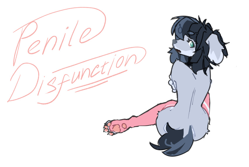 absurd_res anthro canid canine clothing feet female footwear footwear_only hi_res leg_markings legwear legwear_only mammal markings mostly_nude nova19 pawpads paws pink_stockings socks socks_(marking) socks_only solo stockings stockings_only suggestive suggestive_pose toes