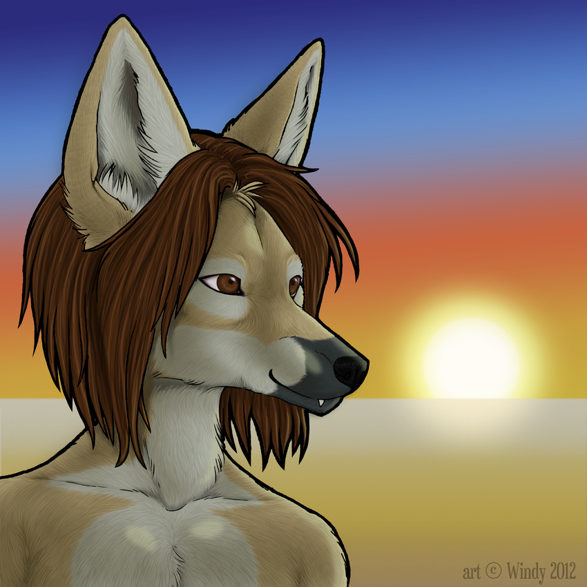 absurd_res anthro black_nose brown_eyes brown_hair canine chest_tuft ear_tuft fur garrett_dekker hair hi_res jackal male mammal outside smile solo sunrise tuft windy