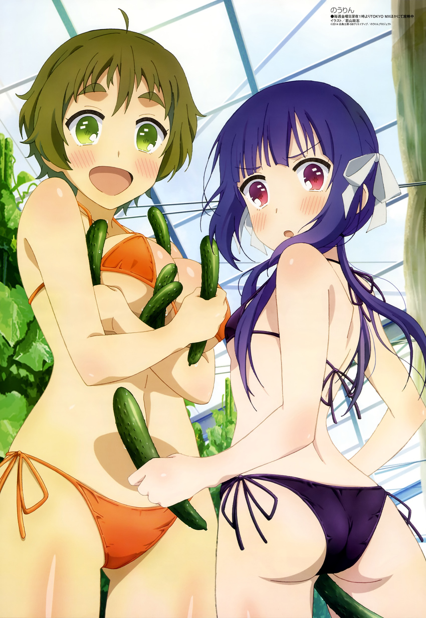 :d :o absurdres ass bikini blush brown_hair cucumber eyebrows food green_eyes highres kinoshita_ringo_(no-rin) long_hair looking_back megami multiple_girls nakazawa_minori no-rin non-web_source official_art open_mouth purple_hair red_eyes short_hair side-tie_bikini smile string_bikini swimsuit wakayama_masashi