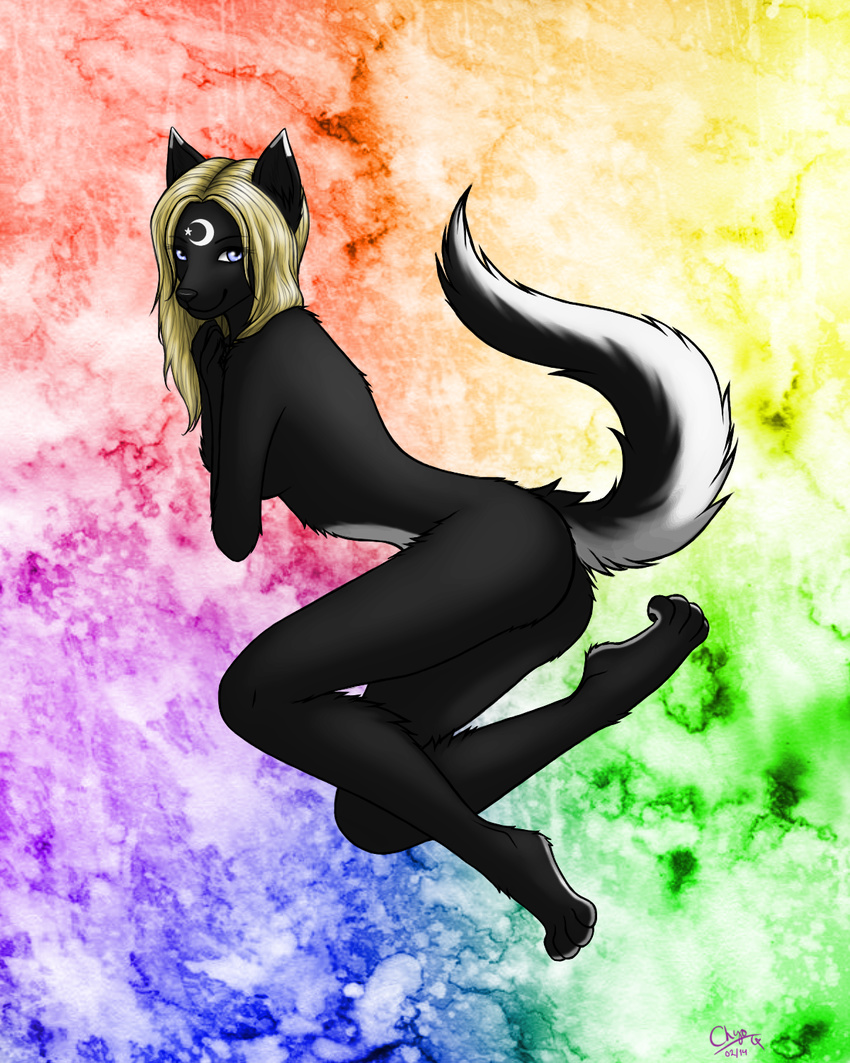 black_fur black_nose blonde_hair blue_eyes canine chiroina chyo female fur hair invalid_tag mammal nude rainbow seductive sly slyspirit solo white_fur wolf ych