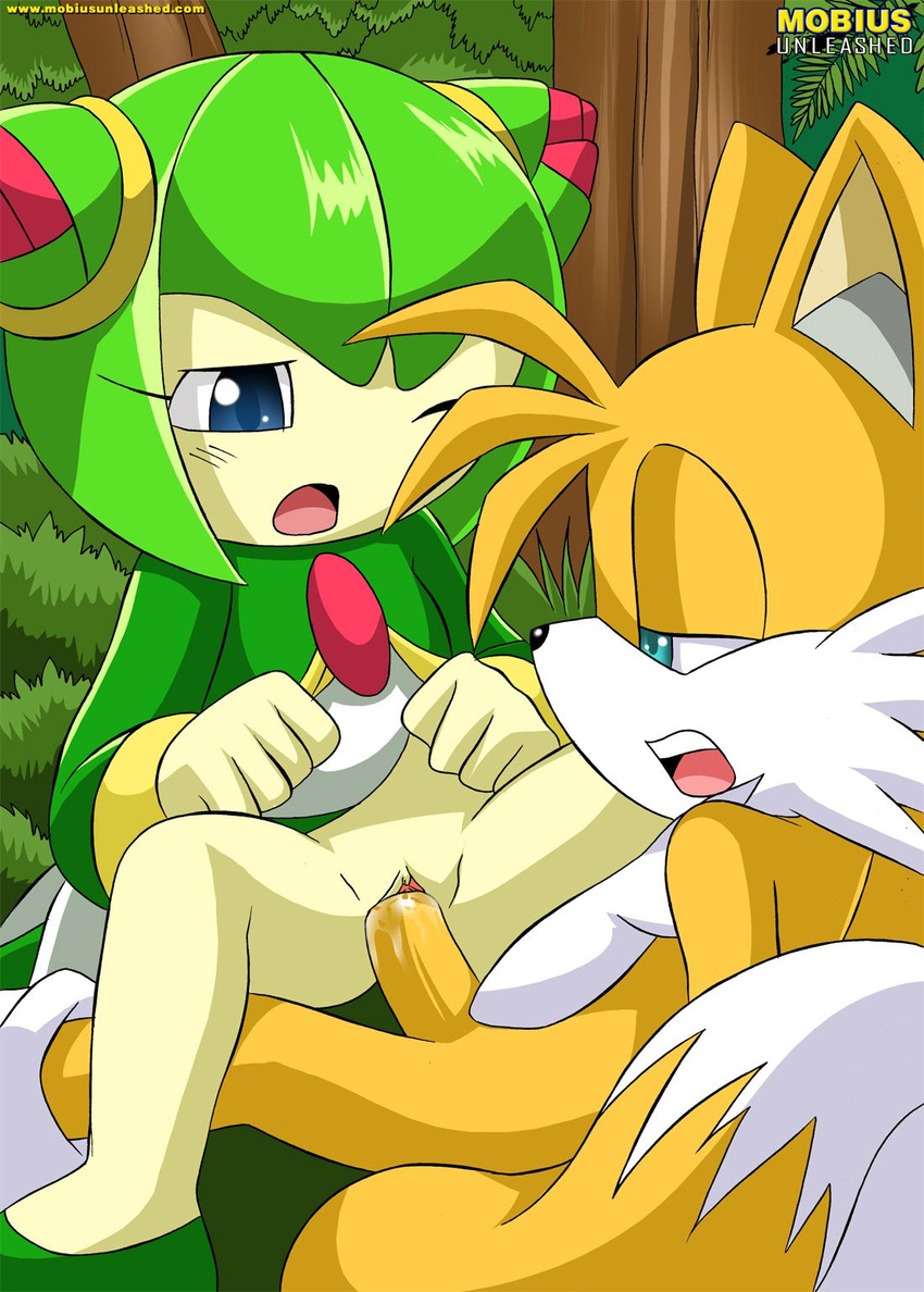 blue_eyes canine clothed clothing cosmo_the_seedrian duo erection female fox fur green_hair hair male mammal miles_prower mobius_unleashed open_mouth penetration penis pussy sega sex sonic_(series) straight vaginal vaginal_penetration video_games