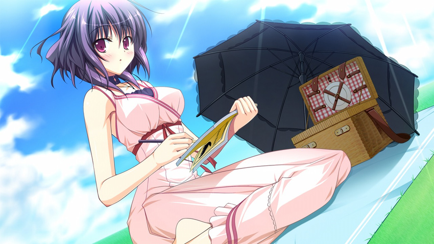 1girl basket blush breasts choker cloud clouds drawing dress fortissimo//akkord:bsusvier game_cg grass highres large_breasts looking_at_viewer ooba_kagerou pen pink_eyes purple_hair short_hair sitting sky solo sunlight umbrella