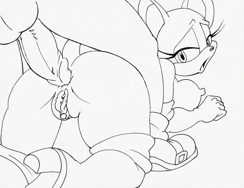 all_fours anal anthro anus areola balls bat bent_over big_breasts breasts butt erect_nipples erection female imminent_sex looking_back male mammal monochrome nipples nude penis presenting presenting_hindquarters prodding pussy rouge_the_bat rule34rox sega sonic_(series) straight