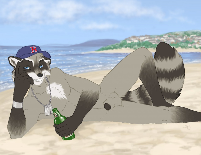 balls baseball_cap beach beer beverage black_nose black_penis blue_eyes bottle chest_tuft city claws dog_tags fur gloves_(marking) grey_fur hat looking_at_viewer lying male mammal markings necklace nude on_side penis penis_tip raccoon ringed_tail sabretoothed_ermine sea seaside smile socks_(marking) solo tuft water