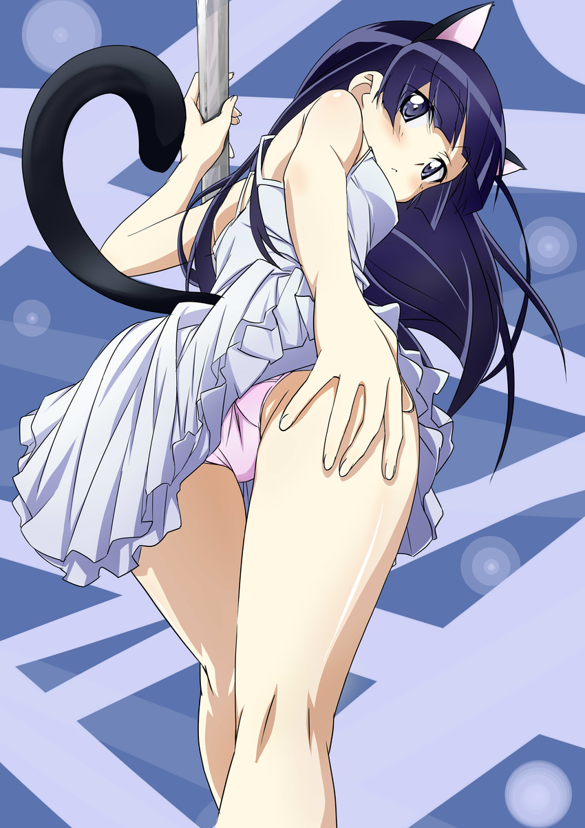 animal_ears ass dress gokou_ruri magu_(syu_uhei) nekomimi ore_no_imouto_ga_konnani_kawaii_wake_ga_nai pantsu tail