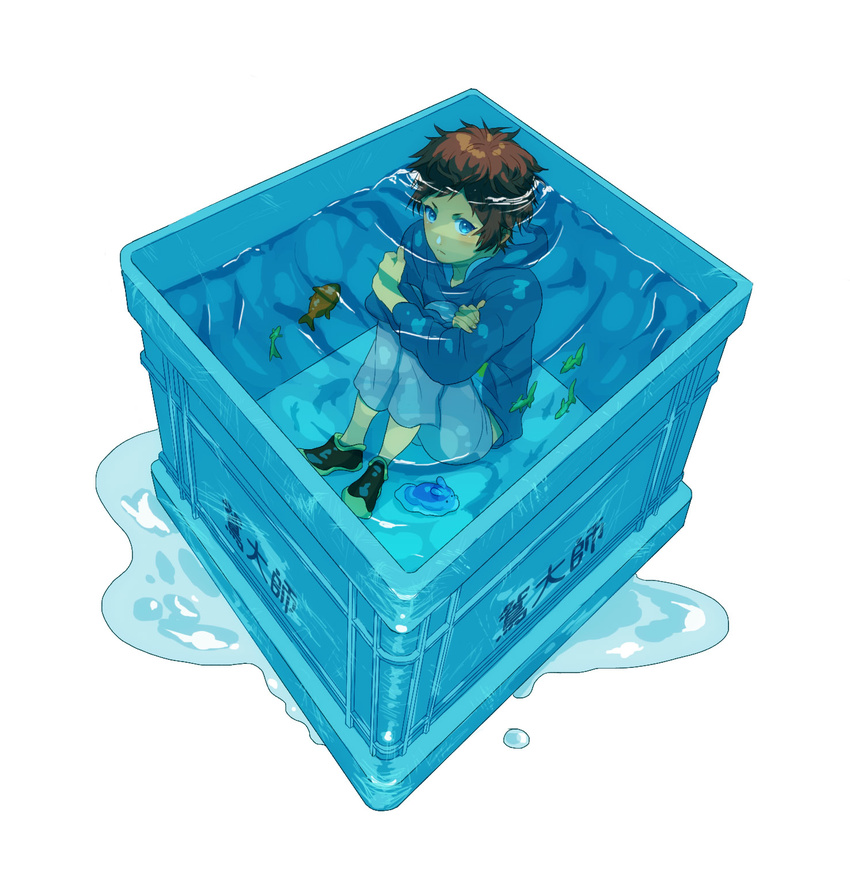 blue_eyes box brown_hair fish highres in_box in_container irose male_focus nagi_no_asukara sakishima_hikari sea_slug short_hair submerged water