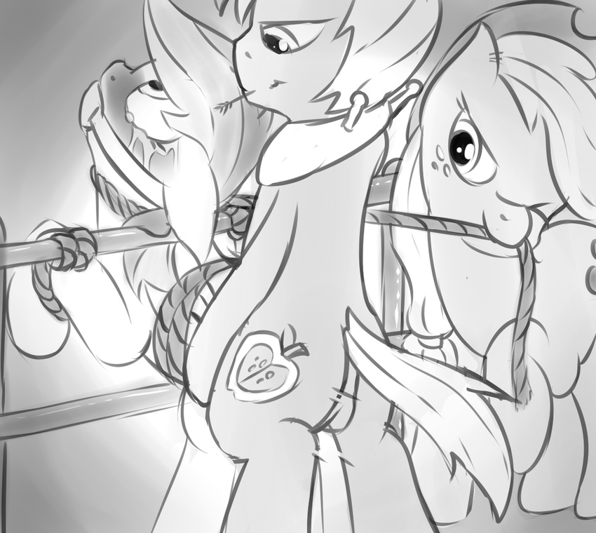 anthro applejack_(mlp) asphyxiation ball_gag balls bdsm big_macintosh_(mlp) bondage bound breathplay crying equine fearingfun female forced friendship_is_magic fur gag hair horse male mammal my_little_pony penetration rainbow_dash_(mlp) rape rope strangulation tears