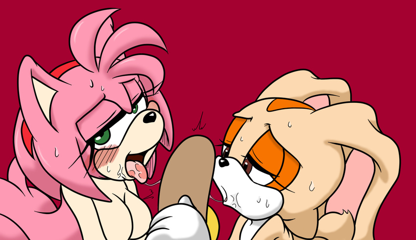 2014 amy_rose anthro big_breasts breasts cleavage clothed clothing cream_the_rabbit drooling erection female first_person_view food hedgehog lagomorph licking male mammal michiyoshi nude open_mouth oral oral_sex penis rabbit saliva sega sex sonic_(series) straight tongue tongue_out young