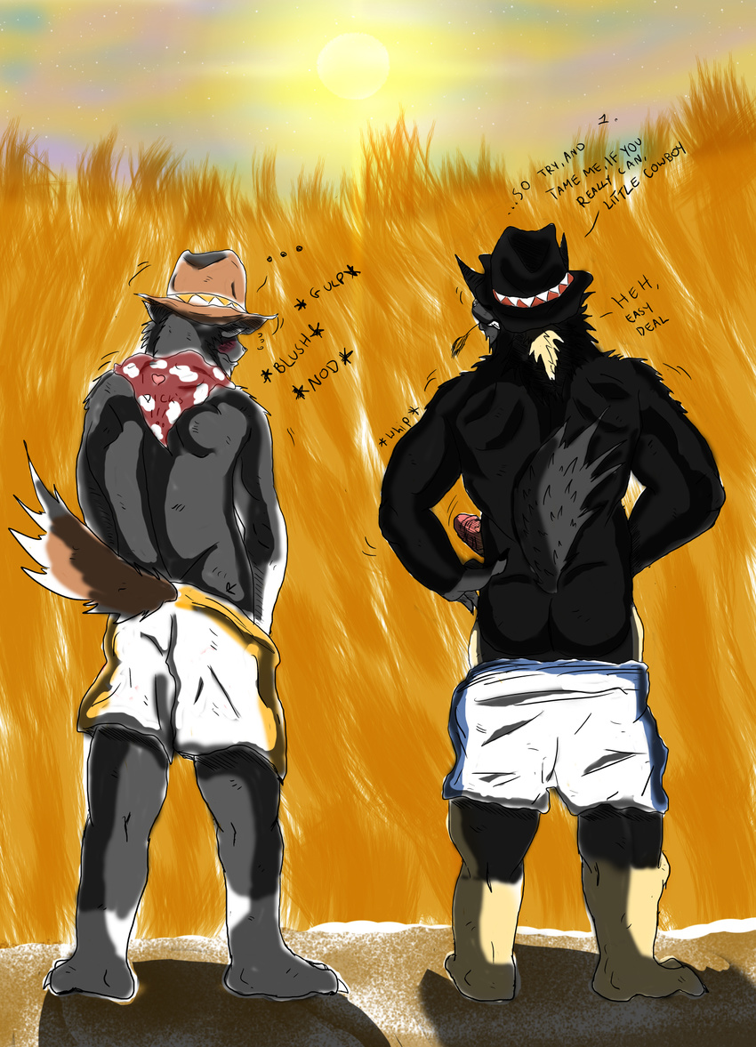 canine colored cowboy cowboys deal duo erection hi_res male mammal muscles penis stars sunset tiger371 wolf wolfs