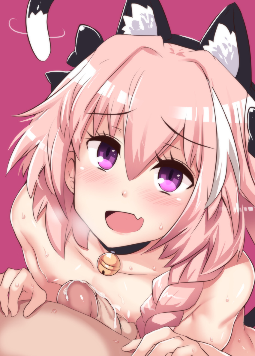 absurdres animal_ears astolfo_(fate) bell black_bow blush bow braid cat_ears cat_tail collar collarbone erection eyebrows_visible_through_hair eyelashes fang fate/apocrypha fate/grand_order fate_(series) hair_between_eyes hair_intakes hair_ribbon highres hinghoi jingle_bell long_braid long_hair looking_at_viewer looking_up male_focus multicolored_hair multiple_boys naizuri nipples open_mouth otoko_no_ko paid_reward patreon_reward penis pink_background pink_hair precum purple_eyes ribbon shiny shiny_hair simple_background single_braid smile streaked_hair tail trap uncensored yaoi