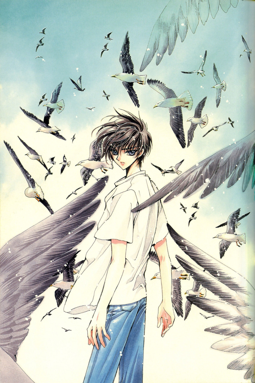 1boy arms_at_sides bird bird_wings clamp denim flock grey_eyes hair_blowing highres jeans light_particles looking_back loose_clothes loose_shirt male_focus official_art pants parted_lips seagull shirou_kamui shirt short_hair short_sleeves solo surrounded thick_eyebrows traditional_media white_shirt wind wings x_(manga)