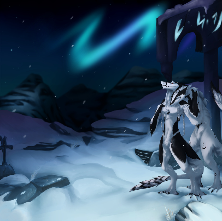 aurora cold cool_colors invalid_color jager male mountain night rutzdus sergal snow winter