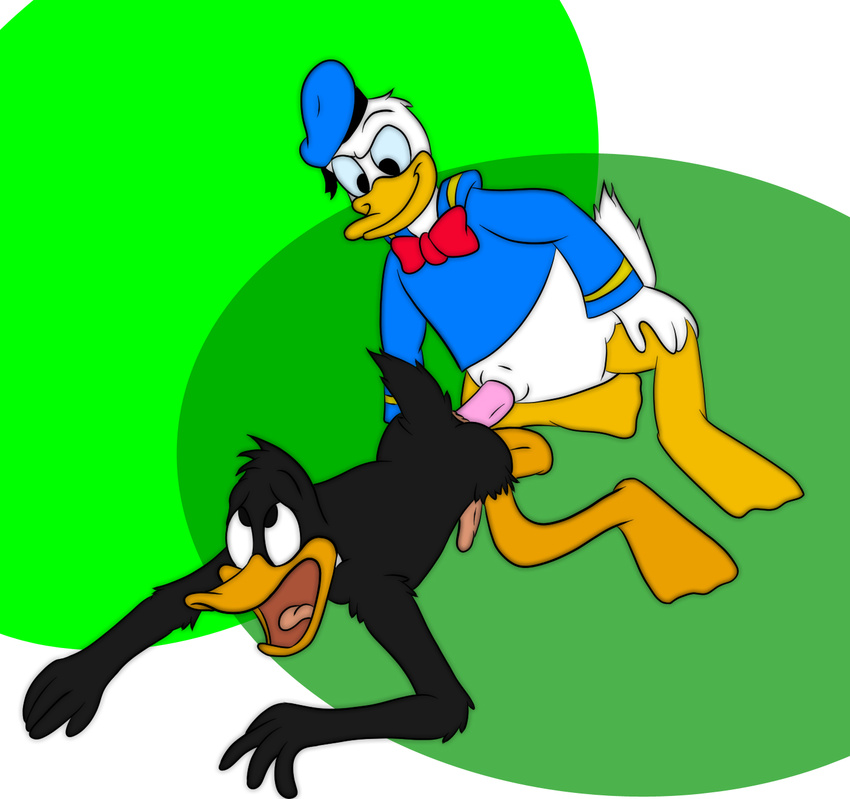 4_fingers all_fours anal anal_penetration anthro anus avian barefoot black_eyes bow butt clcoon clothed clothing crossover daffy_duck disney donald_duck duck duo erection from_behind fur gay half-dressed happy hat headgear hi_res looking_down looking_up looney_tunes male nude open_mouth penetration penis plain_background sex smile tongue warner_brothers