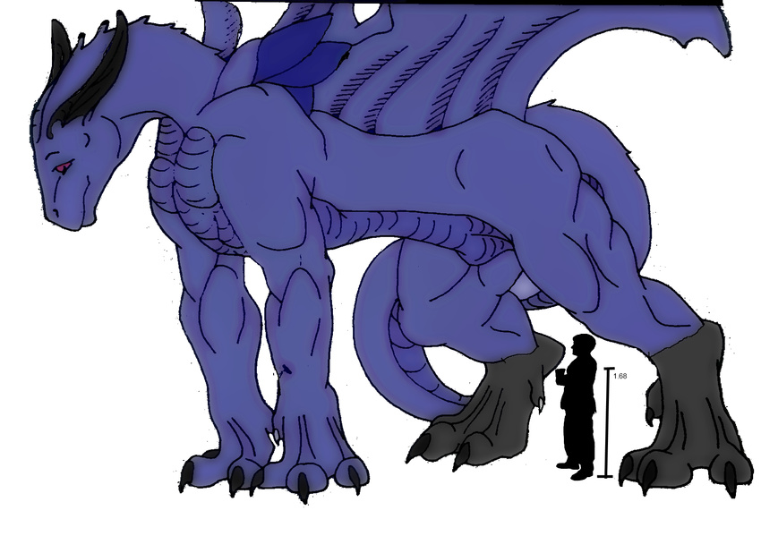 clainekun drache dragon paws size_difference