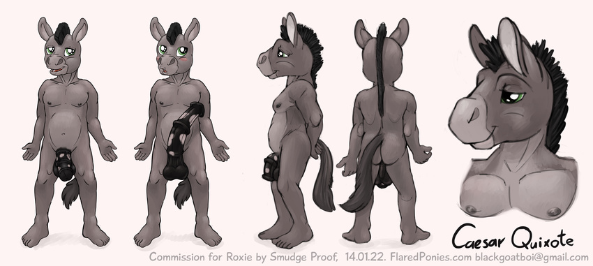 anthro anus balls big_penis black_penis blush chubby donkey equine erection flaccid green_eyes half-erect horsecock looking_away male mammal model_sheet mohawk open_mouth penis smile smudge_proof solo