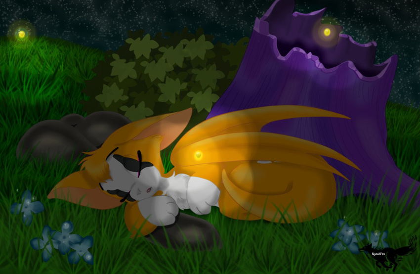 fidget flower forest fur invalid_color nature night nimbat nucahfox orange_fur paws sleeping stars tree video_games wings