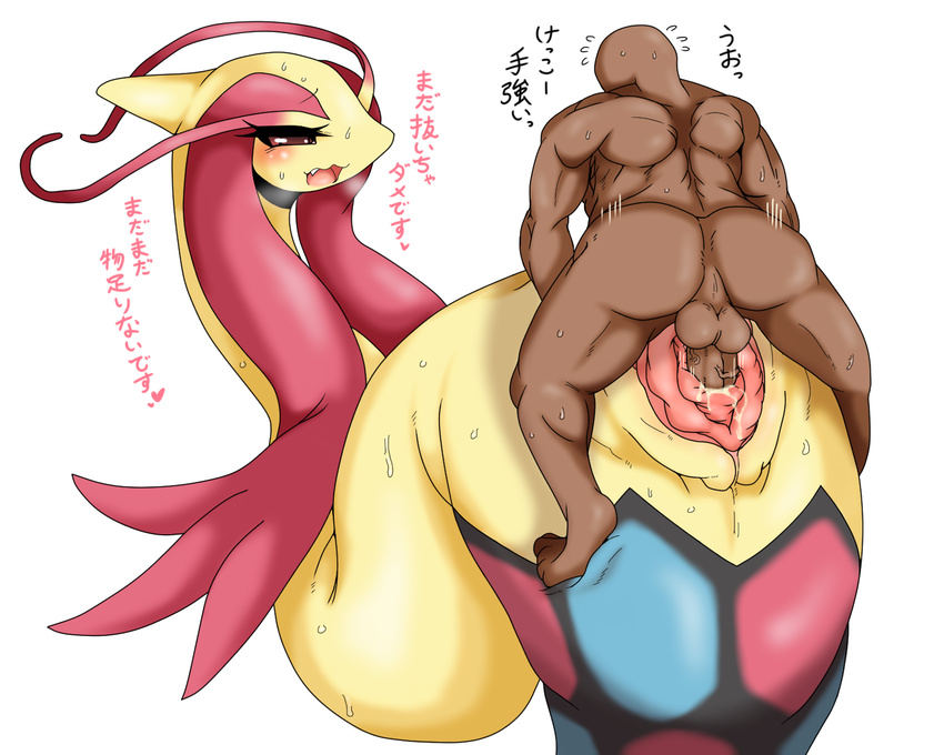 &lt;3 blush dark_skin duo erection female gaping gaping_pussy half-closed_eyes hi_res human interspecies japanese_text larger_female male mammal milotic nintendo open_mouth penetration penis plain_background pok&#233;mon pok&#233;philia pok&eacute;mon pok&eacute;philia pussy san_ruishin sex size_difference smaller_male straight sweat text tongue translation_request vaginal vaginal_penetration vein veiny_penis video_games white_background