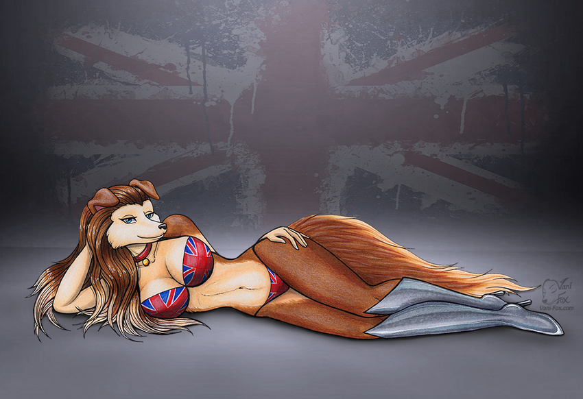 blue_eyes breasts brown_fur brown_hair canine cleavage clothed clothing collar colleen dog female fur hair looking_at_viewer lying mammal navel on_side pinup pose road_rovers rough_collie skimpy solo swimsuit union_jack vani-fox