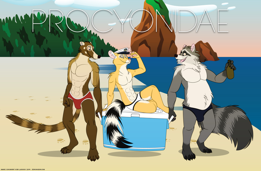 3_males abs alcohol beach beer beverage bulge cacomistle coati cooler english_text fur hair hat kobi_lacroix male mammal multiple_males outside raccoon salute seaside swimsuit text