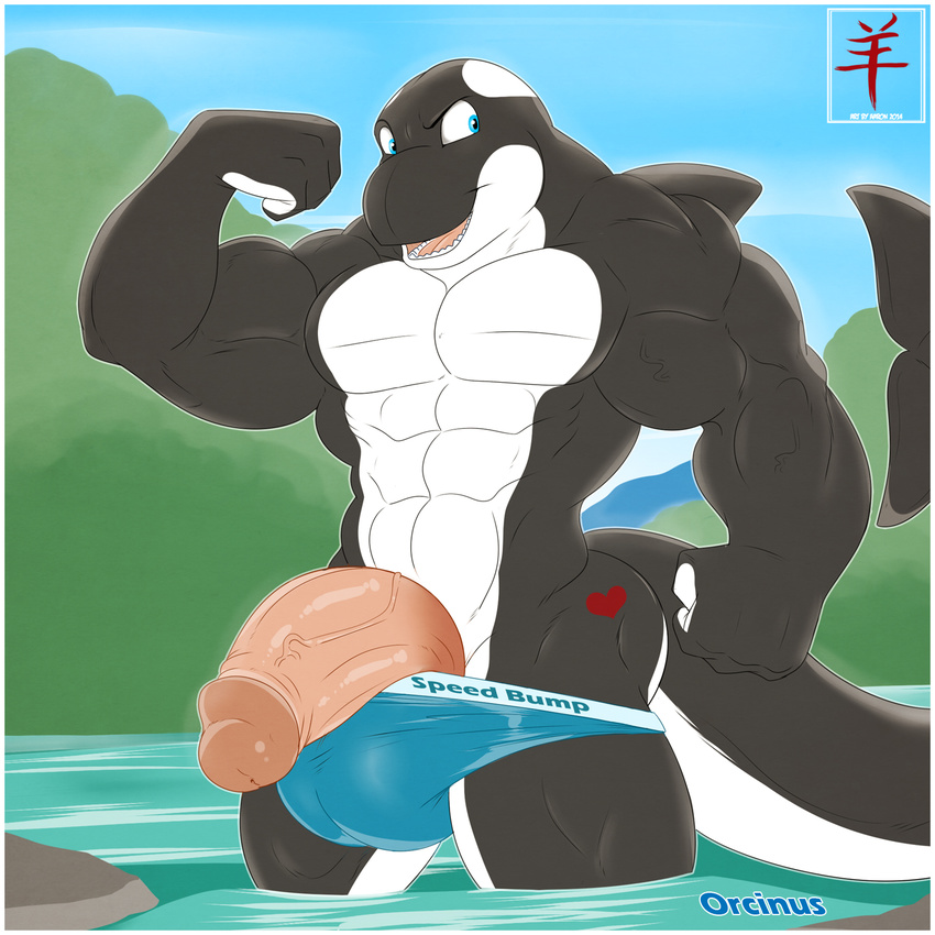 &lt;3 aaron_(artist) abs anthro bald balls biceps big_balls big_muscles big_penis black_skin blue_eyes bulge butt cetacean clothed clothing english_text erection fangs fin fist flexing grin happy hi_res humanoid_penis hyper looking_back male mammal manly marine muscles no_nipples open_mouth orca orcinus outside pecs penis pose presenting raised_arm scales sharp_teeth sheath slit smile solo speedo standing swimsuit tattoo teeth text thick_penis toned tongue topless vein veiny_penis water wet whale white_skin