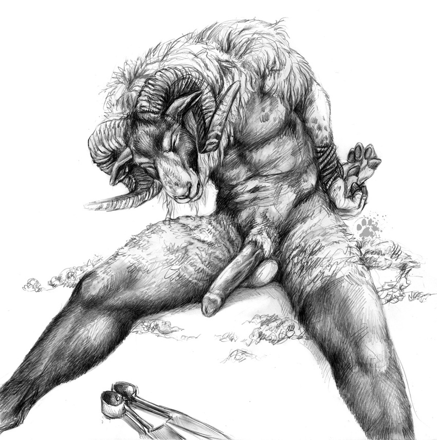 2011 abs anthro balls bdsm bighorn_sheep blotch bound caprine erection eyes_closed greyscale hooved_fingers horn male mammal monochrome muscles nude pecs penis plain_background ram rope shears sheep signature sitting sketch solo white_background